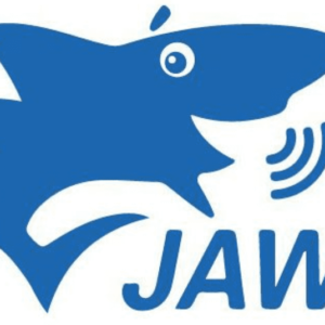 lettore di schermo JAWS - frontale