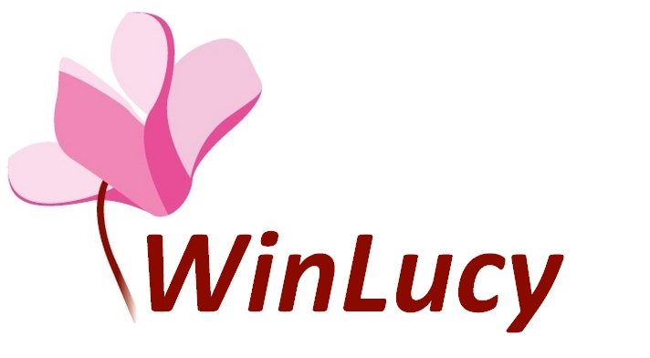 software ad accesso facilitato winlucy - frontale